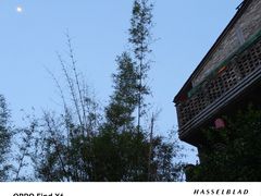 -埋位小酒馆(东城店)