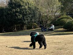 -紫金山天文台