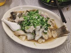 香葱淋鲈鱼-粤·向群饭店(龙津东路总店)