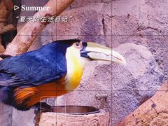 -正佳雨林生态植物园