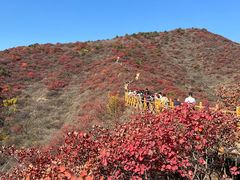 -水峪民俗村