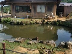 -岚山猴子公园