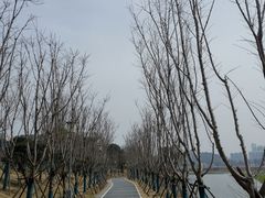 -月湖风景区