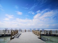 -青海茶卡盐湖文化旅游发展股份有限公司