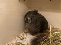 -龙猫仔乐园(惠福东路店)