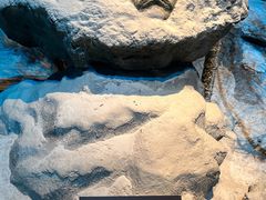 -沈阳“九·一八”历史博物馆