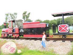 -武汉紫薇都市田园