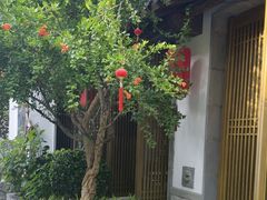 -鲤院·新中式美学·庭院餐厅(夫子庙店)