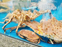 -盒马鲜生(红莲店)