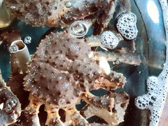 -蟹之国·精品蟹料理(极地店)