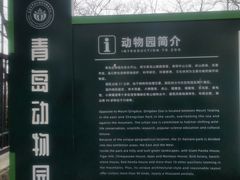-青岛动物园
