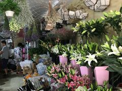 -沪花拾者(好再来花卉鲜花店)