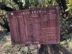 -樱桃沟景区