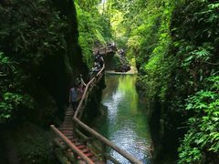 -青城山