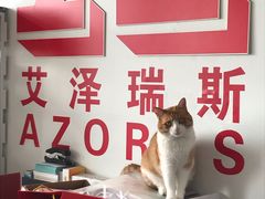 -艾泽瑞斯图文快印打印复印证件照设计名片画册(艾泽瑞斯打印复印洗照片店)