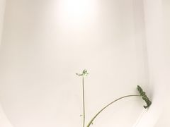 -麓椿花园西餐厅(海乐世界店)