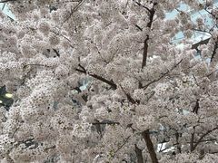 -维多利亚火车站