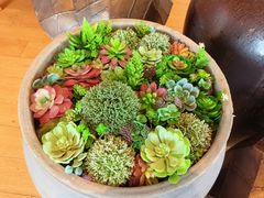 -广州富力君悦大酒店空中花园