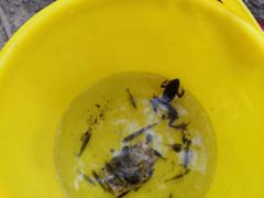 -碓臼峪自然风景区