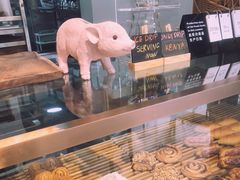-WHEN PIGS FLY当猪飞