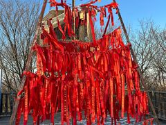 -帽儿山国家森林公园