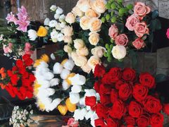 -秦美花卉(天朗·莱茵小城2期店)