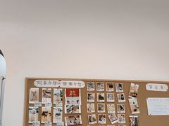 -是阿柴呀！柴犬咖啡·爱喵喵猫咖