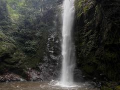 -莫里热带雨林景区