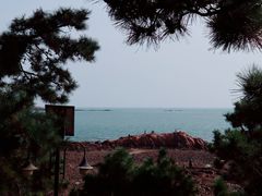 -八大关景区