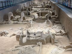 -洛阳周王城天子驾六博物馆