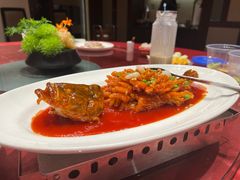 -沪碟·精菜坊(闵行店)