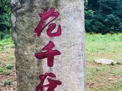 -马口生态公园