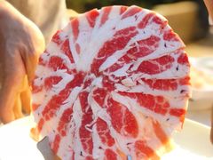 -蜀院鲜火锅(高升桥店)