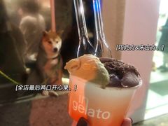 -Dip in Gelato(富民路店)