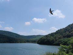 -南京市无想山景区