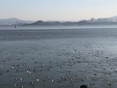 -深圳湾公园(南山区)