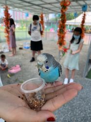 -萌宠亲子动物乐园(槐房万达店)