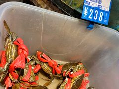 -强记海鲜·大排档(蛇口新街店)