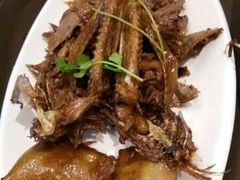 -高老庄绿色传奇(昊元生活广场店)