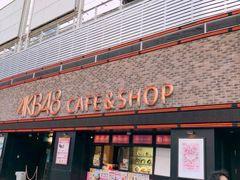-秋叶原电器街