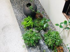 -北京国子监胡同