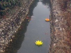 -三江森林温泉度假区