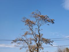 -和木The Home·私厨(鼓楼店)