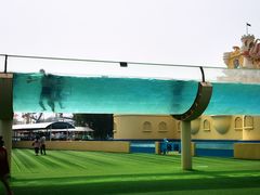 -秦皇岛乐岛海洋王国