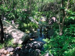 -云岫谷自然风景区