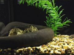 -暹罗海洋世界
