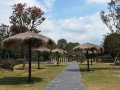 -武汉紫薇都市田园