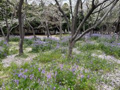 -白塘生态植物园