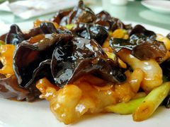 木耳炒蹄筋-老虎滩船说·大连海鲜(老虎滩店)