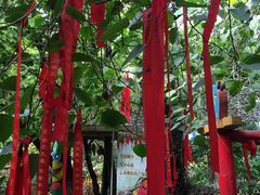 -呀路古热带植物园